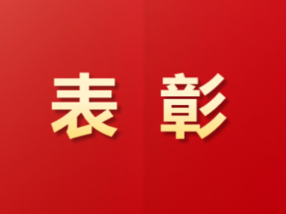 祝賀！這些青年集體和個(gè)人榮獲中國(guó)物流表彰！